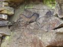 2012-05-03 10-31-35 Poigny la Foret CGn